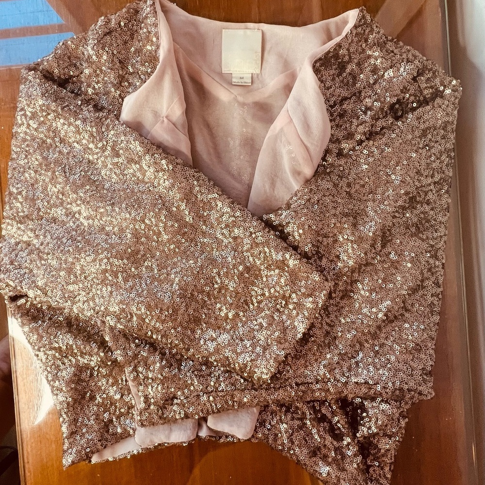 Sequin Line & Dot Rose Gold Jacket - Picture 10 of 17